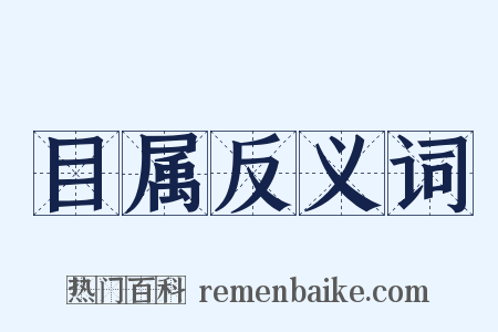 目属反义词是什么意思的图片